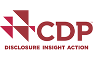 CDP Disclosure Insight Action